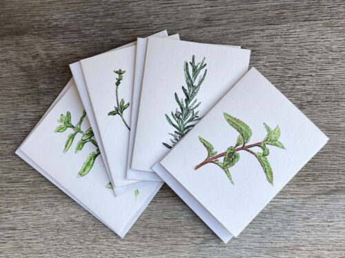 Culinary Herbs Card Collection