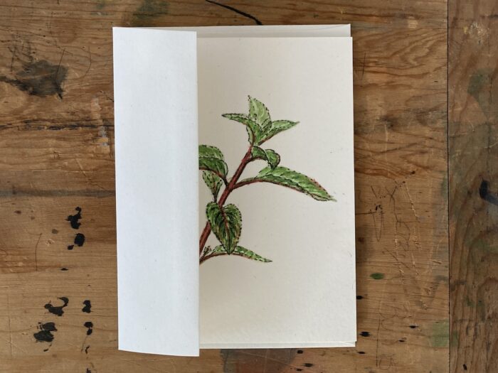 Peppermint Greeting Cards - Image 2